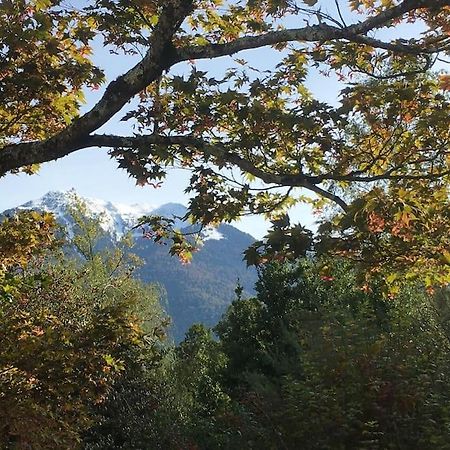 Lerable Pourpre De La Grotte Au Lion Villa Arbon Exteriör bild