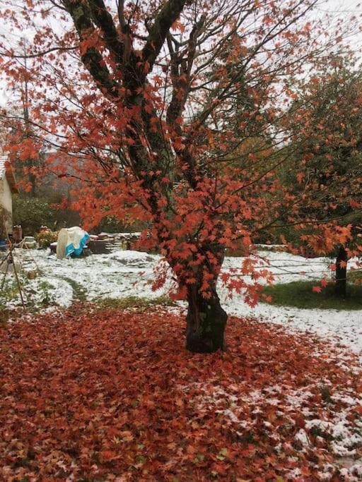 Lerable Pourpre De La Grotte Au Lion Villa Arbon Exteriör bild